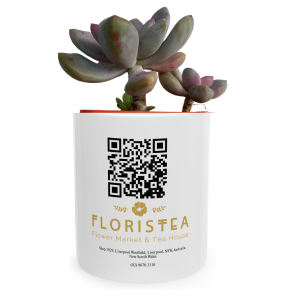 Branded Coffee Mug With Plant | Local Business Promotion Gifts